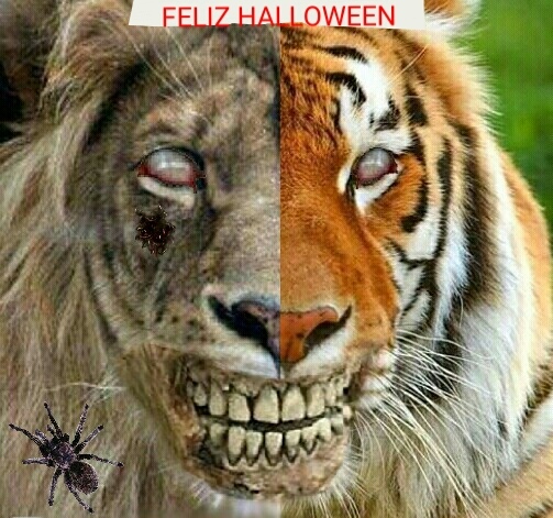 (Mercurymovie) Os Desea un FELIZ HALLOWEEN 2016 a toda la Comunidad!! 