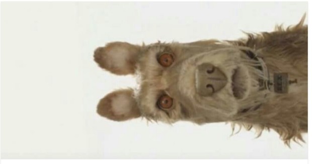 (ISLE OF DOGS) Primer Vistazo a lo Nuevo de Wes Anderson. 