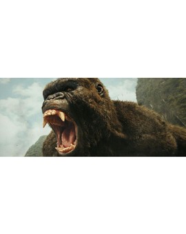 Imágenes de (KONG - SKULL ISLAND). 