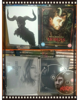 Exterior e Interior Steelbook (HORNS). 