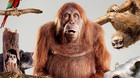 Trailer-espiando-en-la-manada-lo-ultimo-de-bbc-earth-c_s