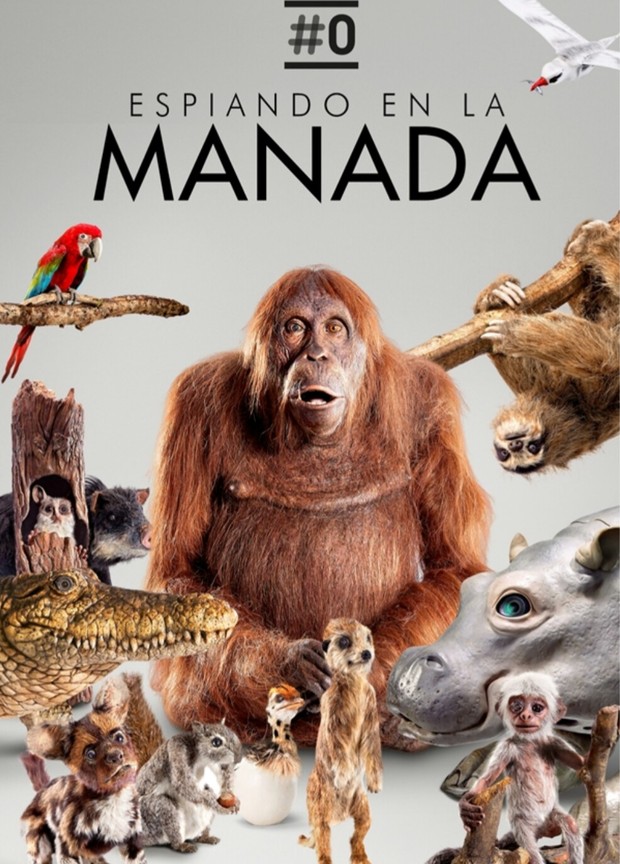 Trailer (ESPIANDO EN LA MANADA) Lo Último de BBC Earth. 