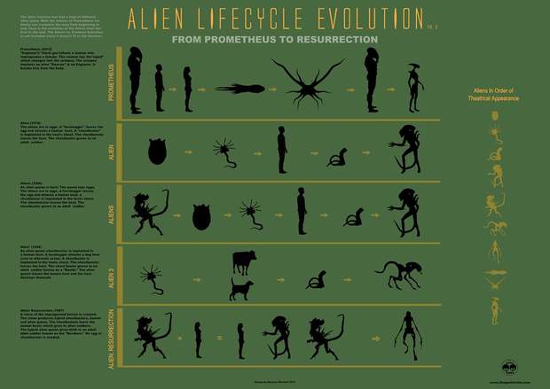 Esquema sobre el Ciclo Vital de la Saga Alien. 