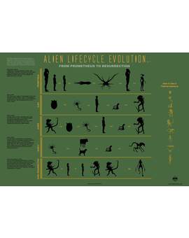 Esquema sobre el Ciclo Vital de la Saga Alien. 