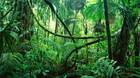 Imagen-depredador-haciendose-un-selfie-c_s
