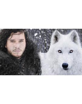 Muere "FANTASMA" El Lobo de Jon Nieve de (JUEGO DE TRONOS). 