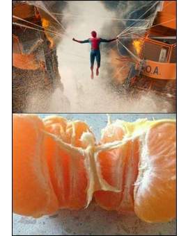 Humor: (Homenaje a SPIDERMAN HOMECOMING en una Mandarina). 