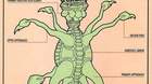 Imagen-como-es-un-sarlacc-por-dentro-star-wars-el-retorno-del-jedi-c_s