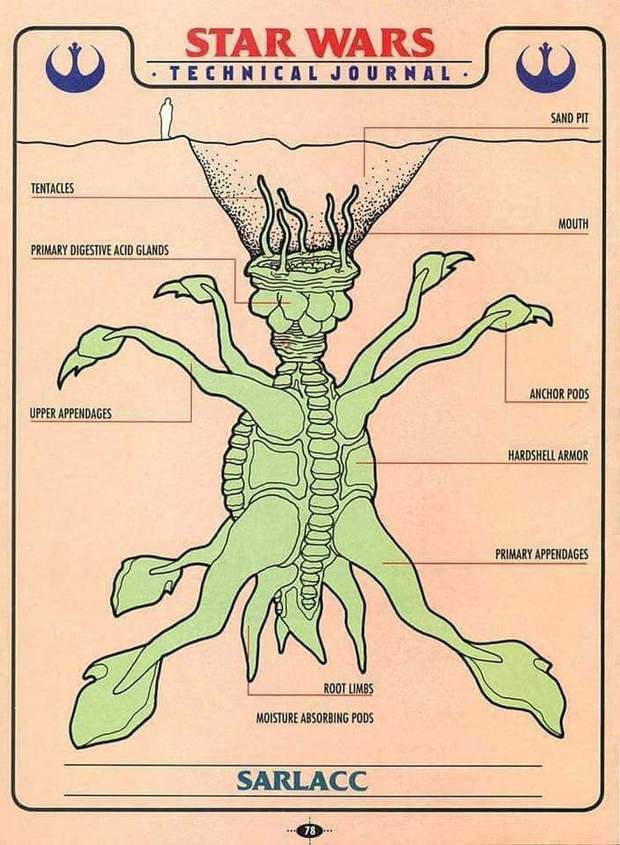 Imagen: (Cómo és un SARLACC por Dentro?) STAR WARS - EL RETORNO DEL JEDI. 