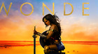 Las-amigas-amazonas-de-wonder-woman-c_s