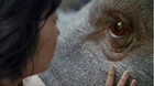 Bong-joon-ho-se-ha-hecho-pescetariano-tras-rodar-okja-c_s