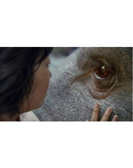 "Bong Joon-ho" Se ha hecho Pescetariano tras Rodar (OKJA). 