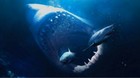 Primera-imagen-de-la-pelicula-de-tiburones-mas-grande-de-la-historia-c_s