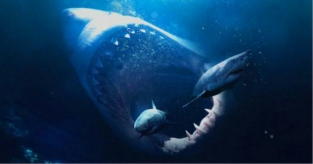 Primera Imagen de la Película de Tiburones más Grande de la Historia. 