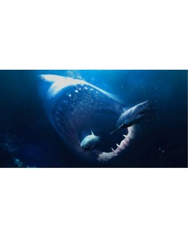 Primera Imagen de la Película de Tiburones más Grande de la Historia. 