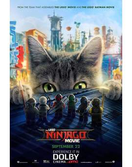 Nuevo Cartel para (LEGO NINJAGO MOVIE). 