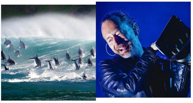 La Increíble Colaboración de "Hans Zimmer y Radiohead" Para (PLANETA AZUL). 