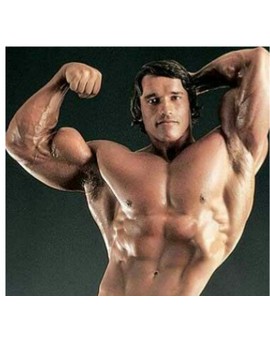 Ya hay Fichaje para la Película de ARNOLD SCHWARZENEGGER de Joven. 