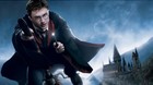 Harry-potter-se-convertira-en-el-nuevo-pokemon-go-c_s