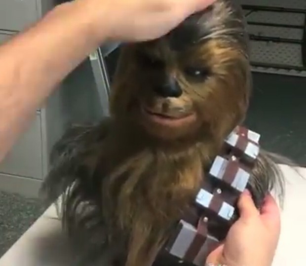 Cómo hacer un CHEWBACCA. 