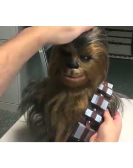 Cómo hacer un CHEWBACCA. 