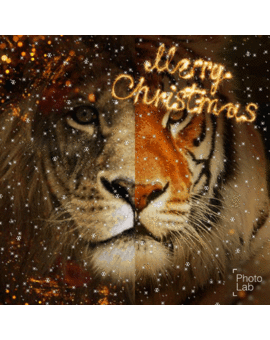 Feliz Navidad y Felices Fiestas a tod@s!!