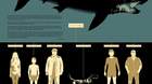 Jaws-tiburon-c_s