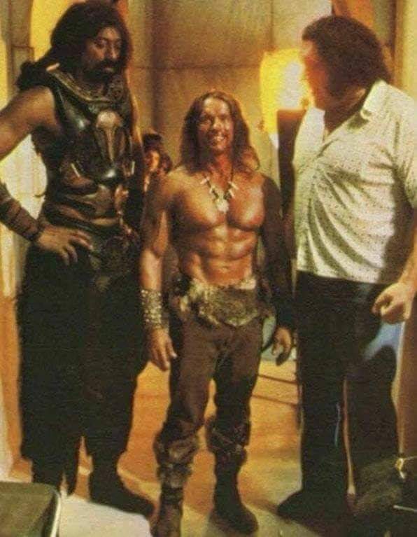 Imagen: SCHWARZENEGGER "Un Tío Grande". 