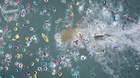 Imagen-the-meg-c_s