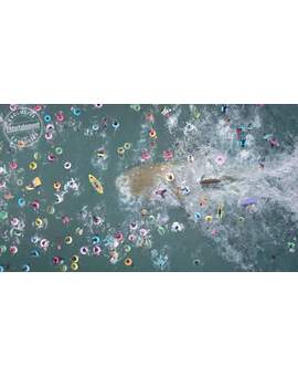 Imagen: (THE MEG). "El Tiburón de Jason Stathan". 