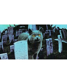 La Nueva Versión de (CEMENTERIO DE ANIMALES) Ya tiene Protagonista. 