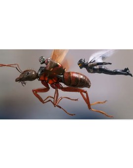 Nuevas Imágenes de (ANT-MAN Y LA AVISPA) y Detalles del Argumento. 