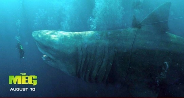 Imagen: (THE MEG). 