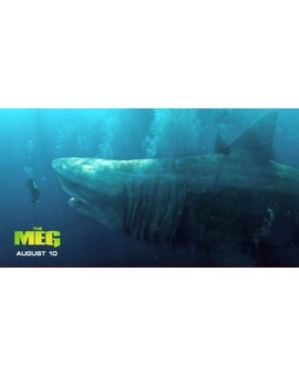 Imagen: (THE MEG). 