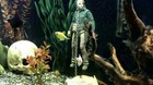 Imagen-decoracion-en-el-acuario-c_s