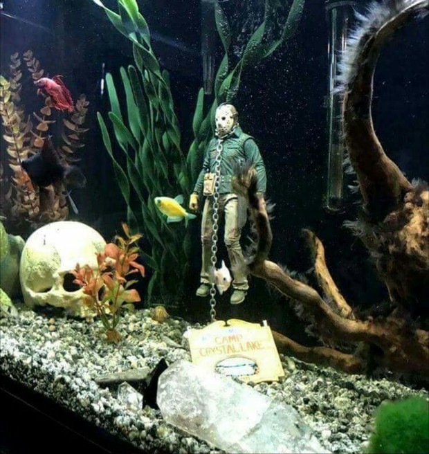 Imagen: (Decoración en el Acuario). 