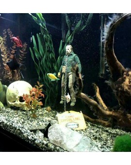 Imagen: (Decoración en el Acuario). 