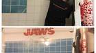Imagen-para-jefe-brody-c_s