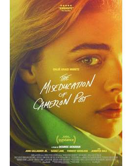 Póster ( THE MISEDUCATION OF CAMERON POST). 