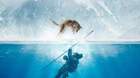 Poster-imax-alpha-c_s