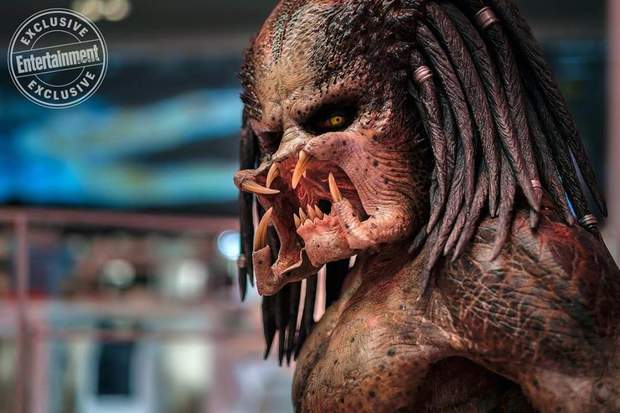 Nueva Imagen (THE PREDATOR). 