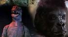 Imagen-godzilla-vs-king-kong-antes-y-despues-c_s