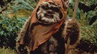Posible-regreso-de-los-ewoks-en-star-wars-os-gustaria-c_s