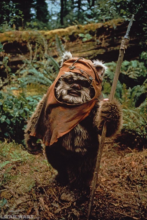 Posible Regreso de (LOS EWOKS) en "STAR WARS"? Os Gustaría?. 