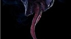 Poster-venom-c_s