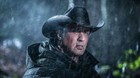 Vertice-cine-distribuira-rambo-5-en-2020-c_s