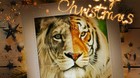 Feliz-navidad-a-toda-la-comunidad-de-mubis-c_s