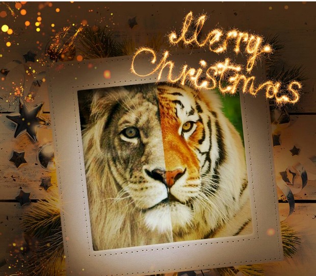 Feliz Navidad a toda la Comunidad de Mubis. 