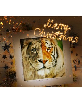 Feliz Navidad a toda la Comunidad de Mubis. 
