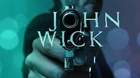 Galeria-36-posters-de-john-wick-c_s